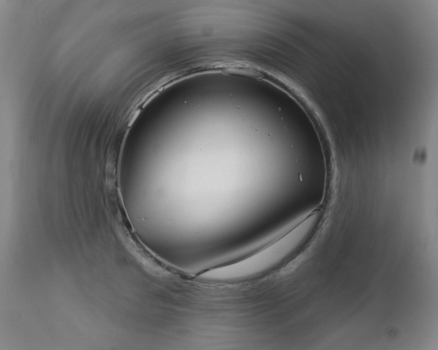 X0000112960897200909031019