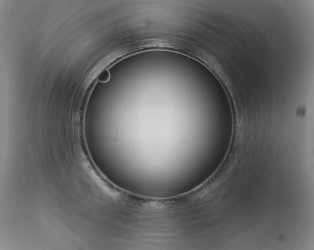 X0000112960898200909031019