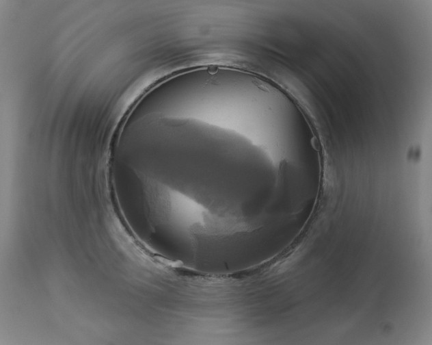 X0000112960899200909031019