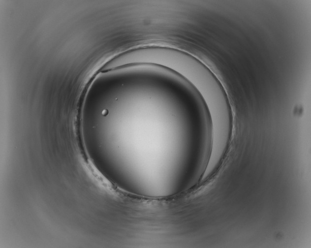 X0000112960901200909031019