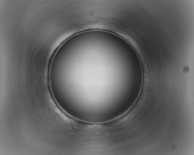 X0000112960902200909031019