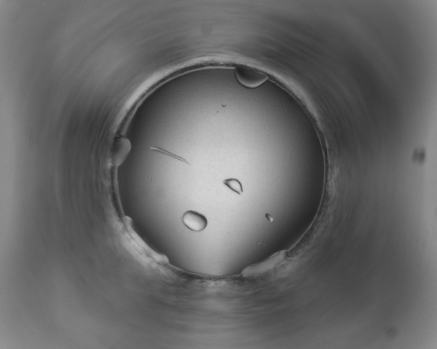 X0000112960903200909031019