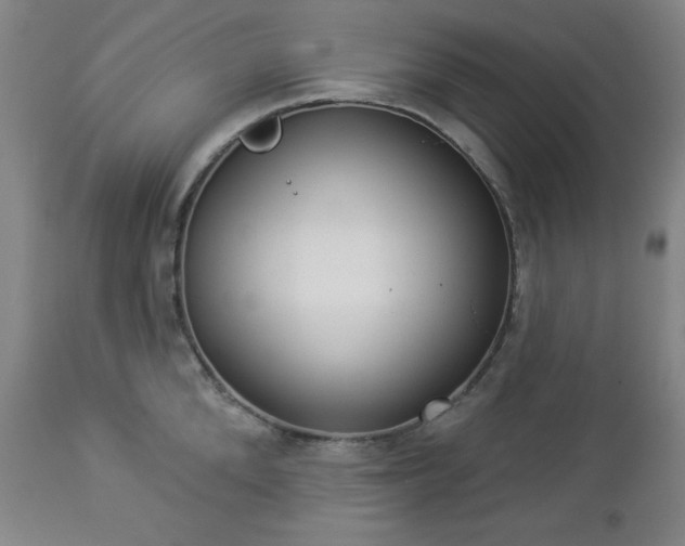 X0000112960904200909031019