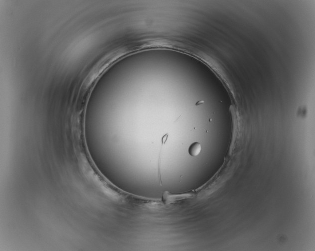 X0000112960906200909031019