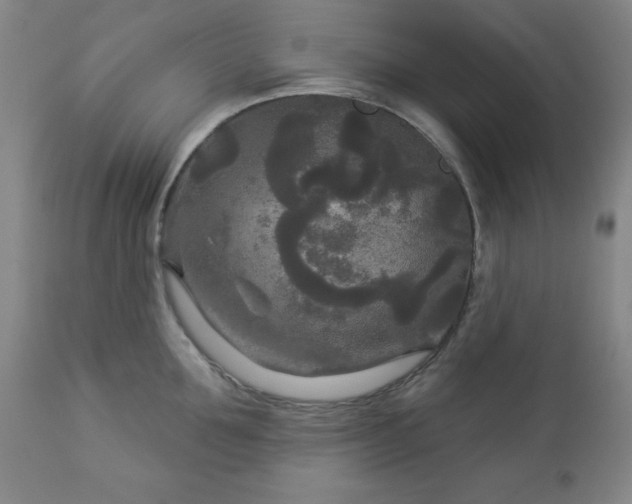 X0000112960907200909031018