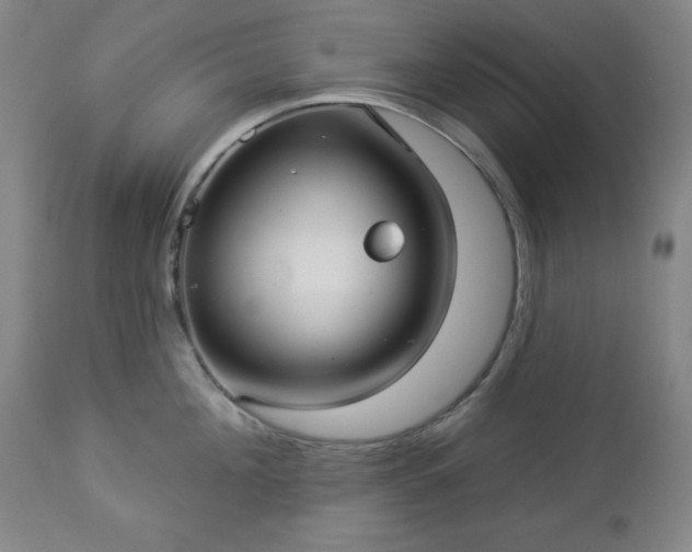 X0000112960908200909031018