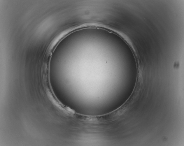 X0000112960911200909031018