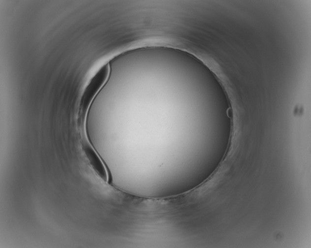 X0000112960912200909031018