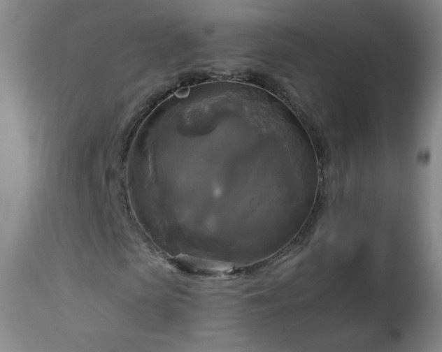 X0000112960913200909031018