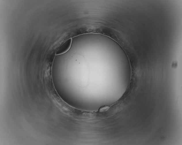 X0000112960914200909031018