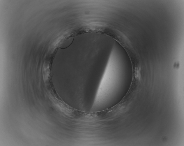 X0000112960915200909031018