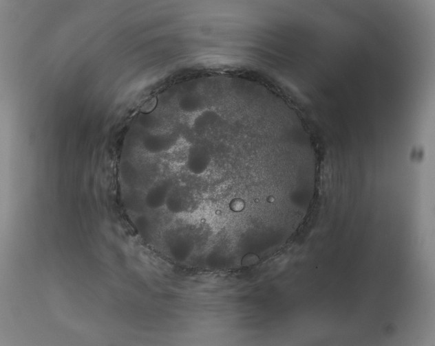 X0000112960917200909031018