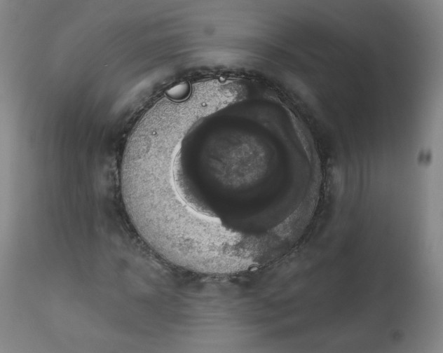 X0000112960918200909031018