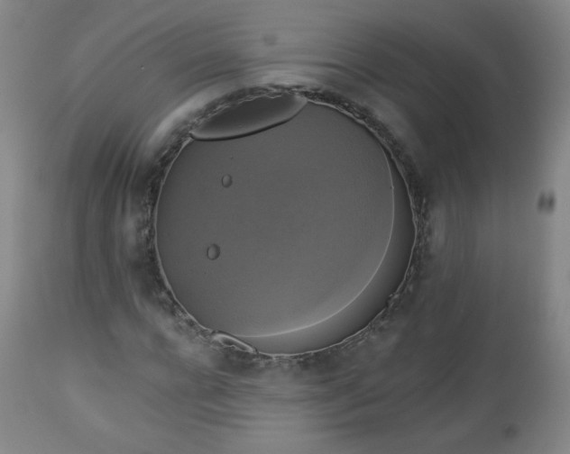 X0000112960920200909031018