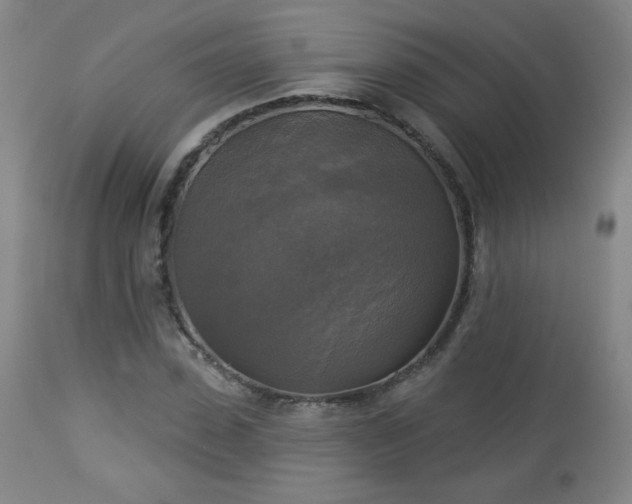 X0000112960923200909031018