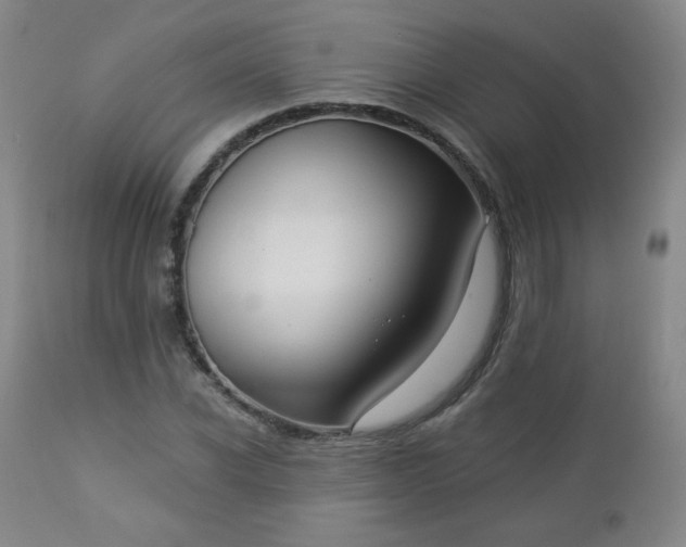 X0000112960926200909031018