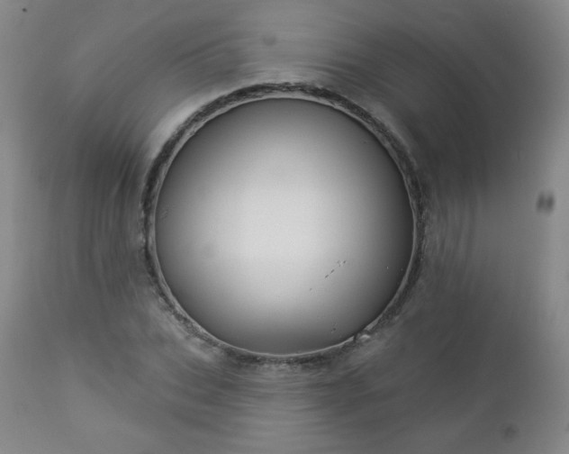 X0000112960927200909031018