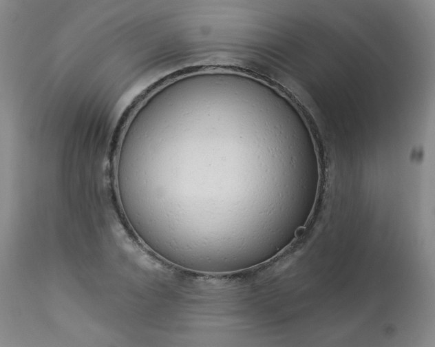 X0000112960928200909031018