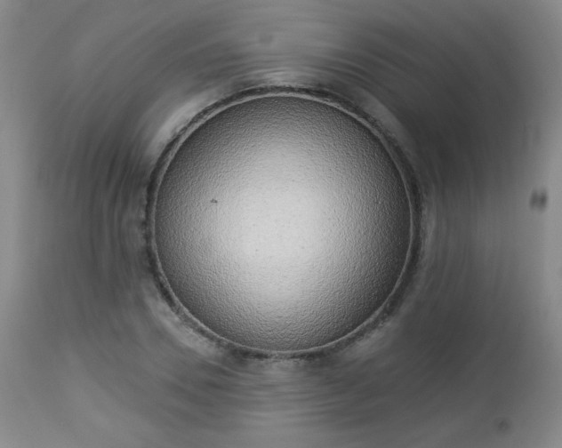 X0000112960930200909031018