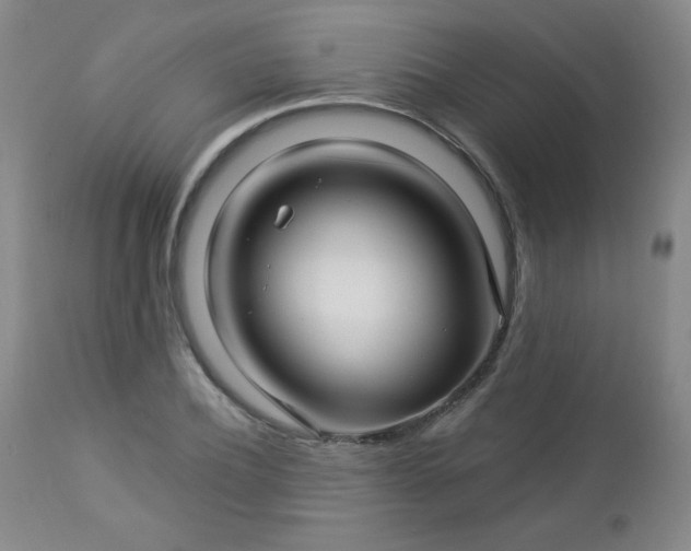 X0000112960932200909031018