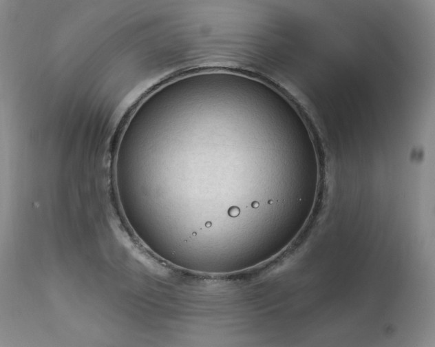 X0000112960933200909031018