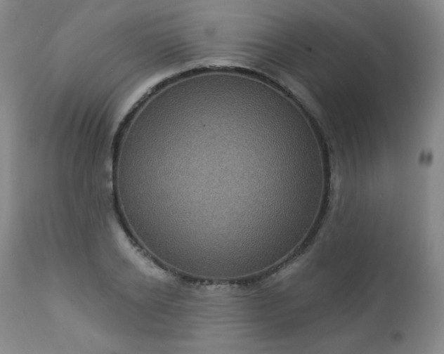 X0000112960934200909031018