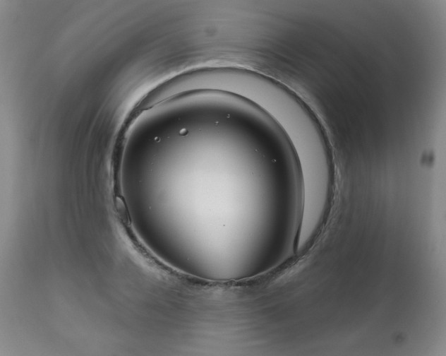 X0000112960936200909031018