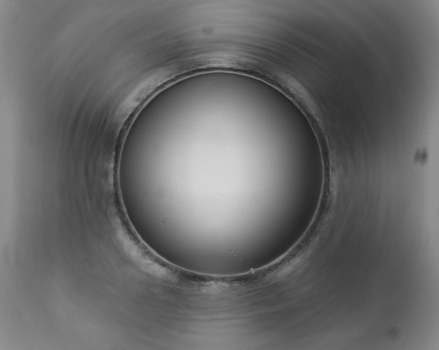 X0000112960938200909031018