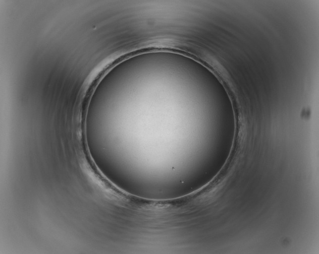 X0000112960939200909031018