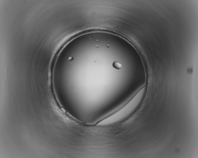 X0000112960940200909031018