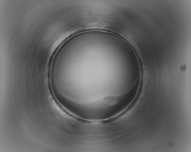 X0000112960941200909031018