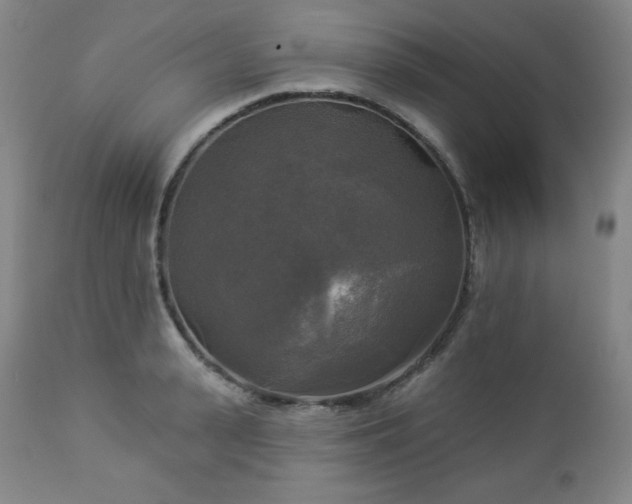 X0000112960943200909031018