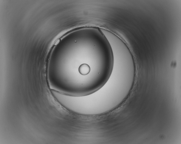 X0000112960948200909031018