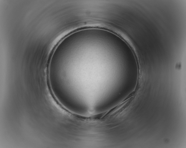 X0000112960951200909031018