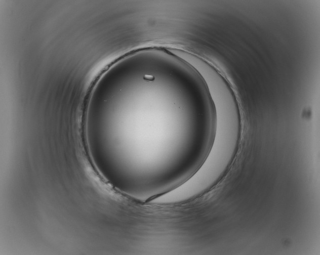 X0000112960952200909031018