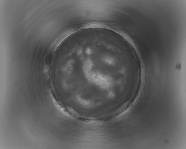 X0000112960953200909031018