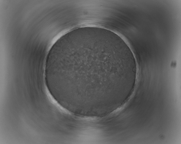 X0000112960957200909031018