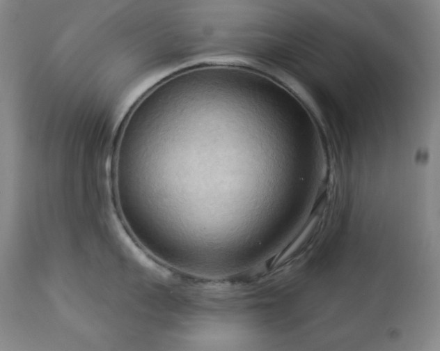 X0000112960959200909031018