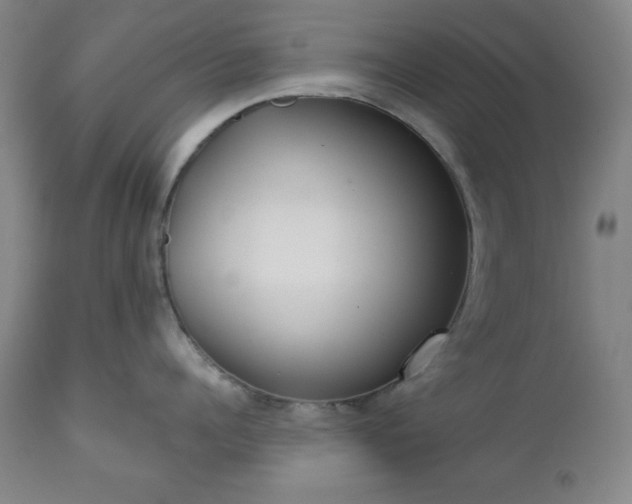 X0000112960960200909031018