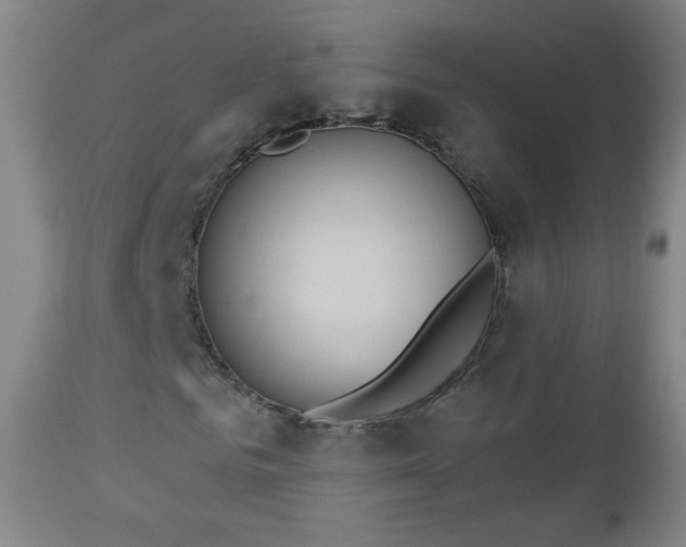 X0000112960961200909031018