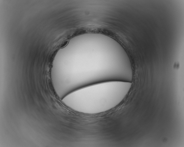 X0000112960964200909031018