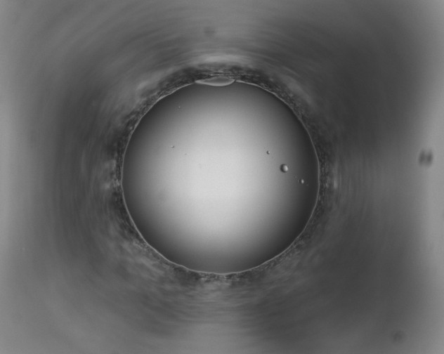 X0000112960965200909031018