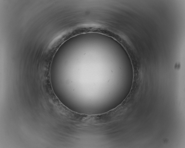 X0000112960967200909031018