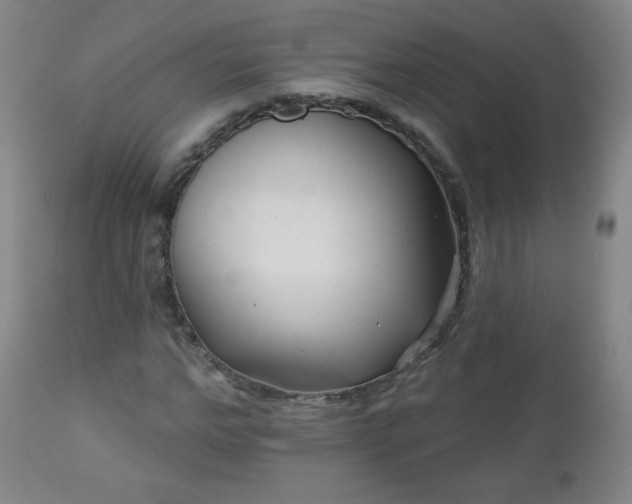 X0000112960968200909031018