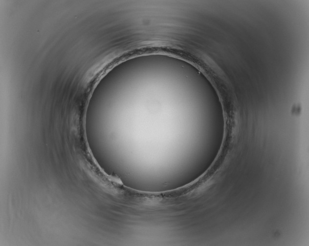 X0000112960969200909031018