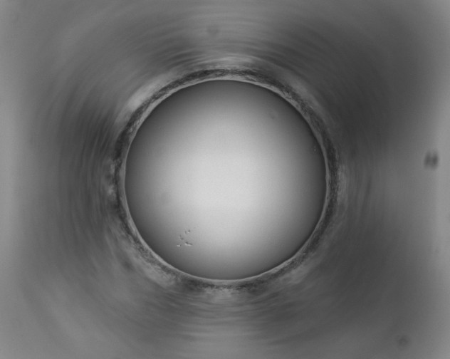 X0000112960970200909031018