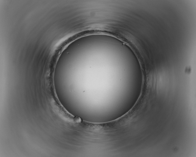 X0000112960971200909031018