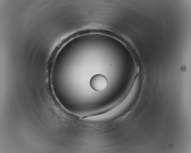 X0000112960973200909031018