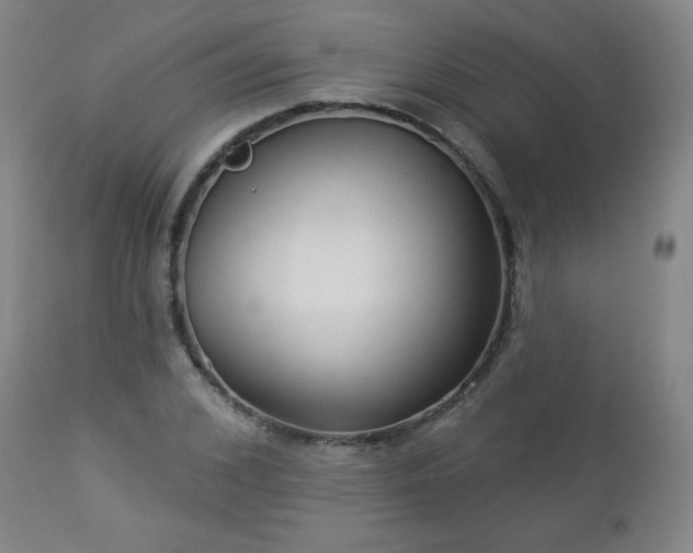 X0000112960976200909031018