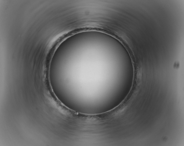 X0000112960979200909031018